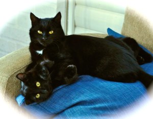 37021_169840963171394_1410159497_n