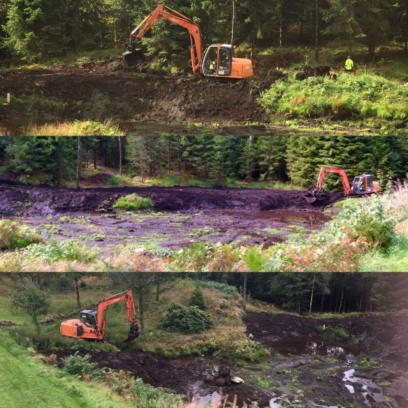 559C904F-3878-4451-829E-0F604748479A