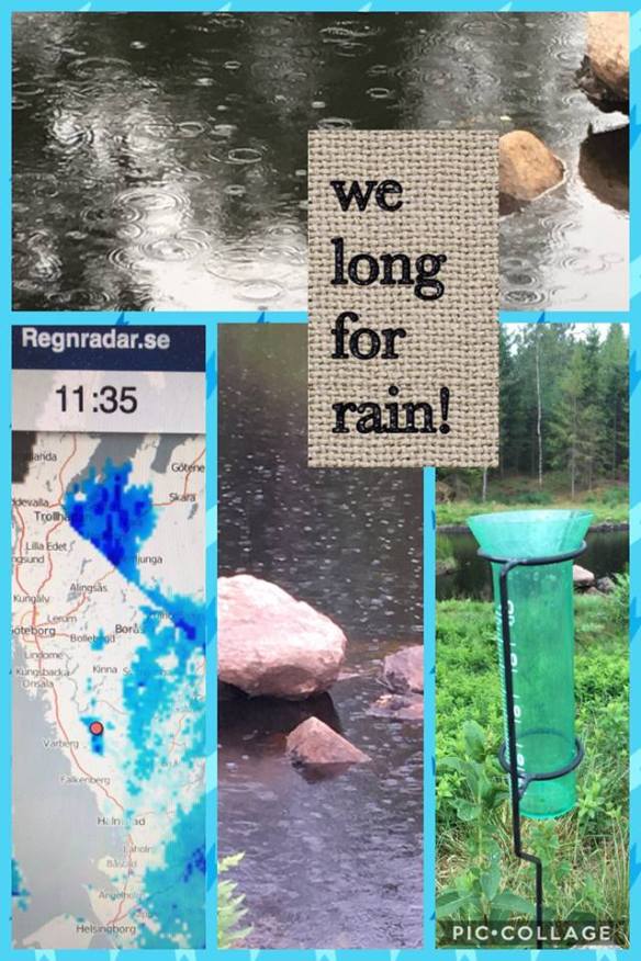 37418517_1091838120971669_2860724780670124032_n