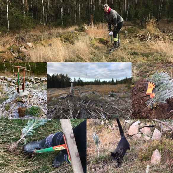 CFD1E92F-8C94-4DF1-9F15-2D8596114F91