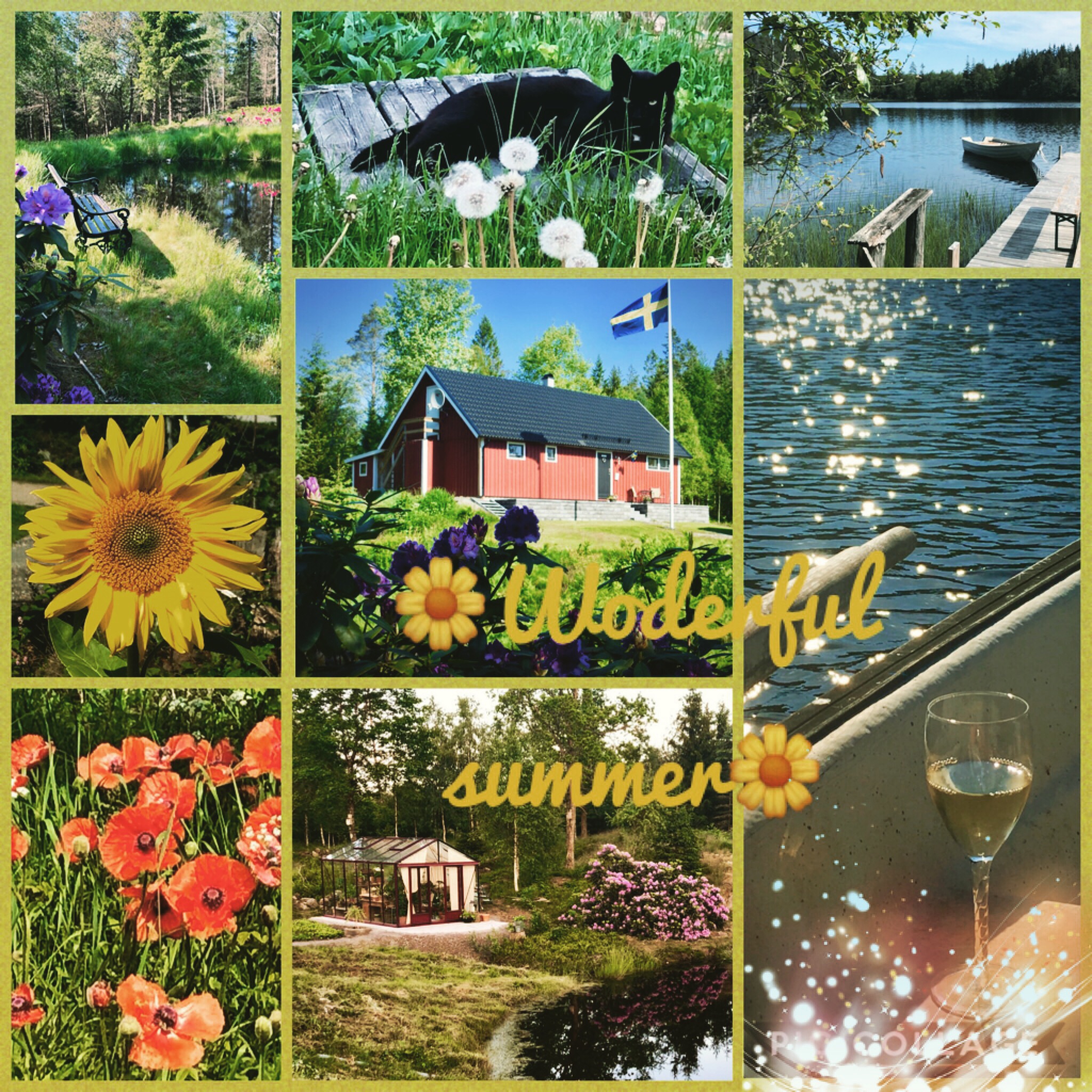 08A34A72-2E42-4CB9-AD45-EDD25E4057EA